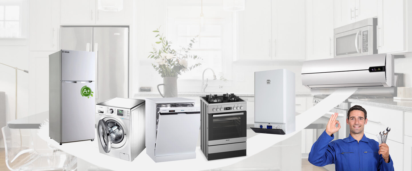 Etimesgut Smeg Servisi